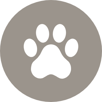 Enjoy yappy hour at the pet park
